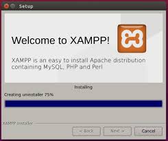 Install Xampp On Centos 8 Installation Linux Mysql