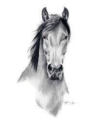Divide the muzzle circle into three parts to draw the lips. Realistic Mustang Horse Drawing