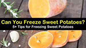 Prepare the frozen potatoes by mashing or roasting, or incorporate them into hot dishes, such as casseroles, scalloped potatoes, soups or stews. 5 Tips For Freezing Sweet Potatoes