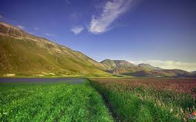 You can garnish your personal computer and your mobile gadgets with one of the colorful nature wallpapers provided on wallpaperfx, it is the best idea to have beauty in front of your eyes wherever you look around you. Download Ultra Hd Nature Wallpapers 4k Download Free Hd Widescreen Wallpaper Or High Definitio Hd Nature Wallpapers Nature Wallpaper Iphone Wallpaper Hd Nature