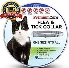 Birds Be Safe Collar Amazon Com Cats Pet Supplies Collars Harnesses Leashes Apparel Beds Furniture Toys More Ticks Flea And Tick Fleas