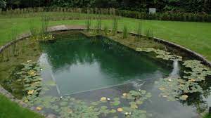 Pin On Natural Pool