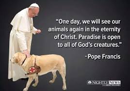 Ftnte From Ignatius Catholic Study Bible For 1cor 15 42 44 Does Not Support This Emotional Idea Catholic Theology Enumerates Four Dogs Pope Francis Dog Quotes