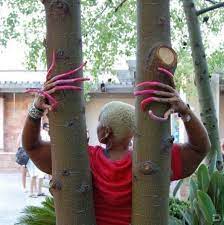 pin by ivonne bentancor on horripilante woman with longest nails long fingernails long nails