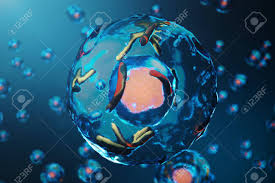 These in the title animal cell parts and functions, the word part pertains to organelles; Human Cells Or Animal Cell Colony Concept Of Science And Medicine Stock Photo Picture And Royalty Free Image Image 118956120
