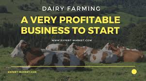 Botanical bounty executive summary opportunity problem. Starting Cattle Fattening Farming Business Plan Pdf Startupbiz Global