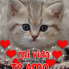 Https Encrypted Tbn0 Gstatic Com Images Q Tbn And9gcthxffxahewjtmoqchvfz Iwtvrhusvcbqhug Usqp Cau