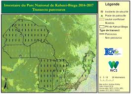 Image result for Agelanthus musozensis