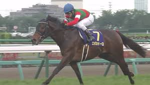 See more of 皐月—京kyo on facebook. åŽ³é¸ãƒ‡ãƒ¼ã‚¿ G1çšæœˆè³ž 2020 éŽåŽ»10å¹´åˆ†æœ‰åŠ›æƒ…å ± å‚¾å' äºˆæƒ³ã®å‰ã« Honesty