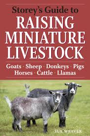 I got a mini cow! Storey S Guide To Raising Miniature Livestock Goats Sheep Donkeys Pigs Horses Cattle Llamas Weaver Sue 9781603424813 Amazon Com Books