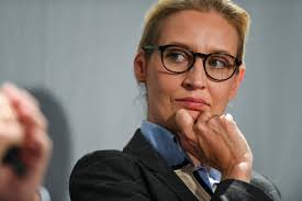 Was #kanzlerin & ministerpräsidenten hier in schöner regelmäßigkeit abziehen. Alice Weidel Holt Sich Tipps Bei Trumps Ex Berater Steve Bannon