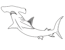 Baby shark coloring pages pdf. Hammerhead Sharks Head Strong Coloring Pages For Kids Euo Coloring Home