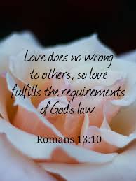 When you think of love quotes, you might think of quotes about falling in love, or shakespeare, but what about the love we have for our family members?it may be a different kind of love, but it's just as strong and just as important. Daily Grace Todays Godly Reminder Bible Quotes Verses Prayers Stories And More Today S Godly Reminder Romans 13 10