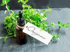 Comment Faire De L Huile D Origan Maison Bienfaits Et Recette L Origan Est L Une Des Herbes Culinai Huile Essentielle D Origan Antibiotiques Naturels Origan