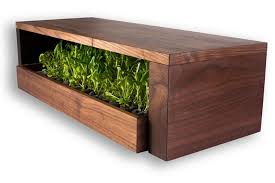 Create your own tabletop decor and accessories with shutterfly. Grow Bar Sprouts Microgreens Anywhere With Built In Bluetooth And Led Technology