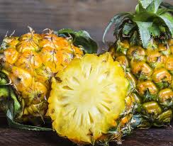 Image result for Ananas comosus