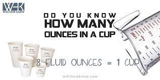 Do You Know How Many Ounces In A Cup Wiki How Know