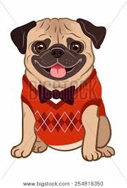 The very bizarre misadventures of a kid who aspires to be a superhero and his overweight dog companion. Pug Dog Cartoon Vector Photo Free Trial Bigstock