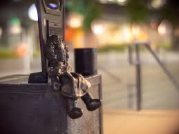 Image result for rayxar