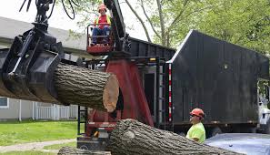 Tree removal permits grant permission to remove tree(s) from private property, and may include a requirement to plant a replacement tree(s). Tree Removal Services Gta Tree Removal