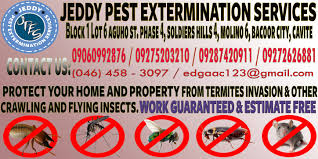 Find the perfect pest extermination stock illustrations from getty images. Jeddy Pest Extermination Services Posts Facebook