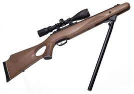 Air Rifle