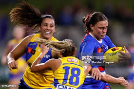 194 Jaide Stock Photos, High-Res Pictures, and Images