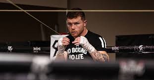 We did not find results for: I Missed The Rest Canelo Alvarez S Spectacular Donation To Children With Cancer In A Hospital In Puebla
