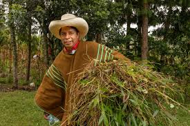 José pedro castillo terrones is a peruvian schoolteacher, union leader, politician, and a candidate for president in the 2021 peruvian gener. Peru Election 2021 Pedro Castillo The Barefoot Candidate Poised To Become The Next President Of Peru Usa El Pais In English