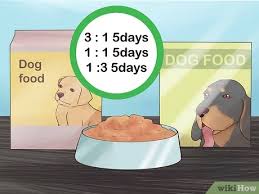 How much dry food should you feed your yorkie daily? How To Feed A Yorkie Puppy 11 Steps With Pictures Wikihow