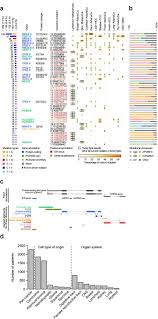 At this time, based on available studies, having a history of cancer may increase your risk. Discovery And Characterization Of Coding And Non Coding Driver Mutations In More Than 2 500 Whole Cancer Genomes Biorxiv