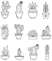 Succulent coloring page cactuses black and white seamless pattern for coloring book. Best Succulent Cactus Coloring Books Pages Cleverpedia