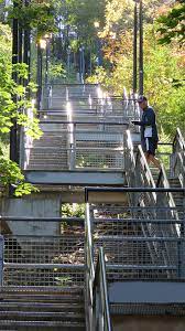 Project Wentworth Stairs And Side Trails