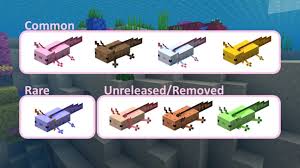 5 different axolotl colors in minecraft All Axolotl Color Variants In Minecraft Gamepur