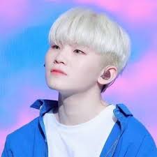 Lee jihoon (이지훈) / li zhī xūn (李知勳)sahne adı: Woozi Seventeen Fan Account Woozi Ngpledis Twitter
