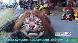 Maybe you would like to learn more about one of these? Kucingan Macan Ngontal Jaranan Laras Wangi Youtube