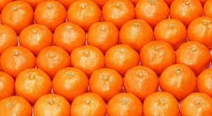 Manfaat asam folat untuk ibu hamil muda adalah untuk mengurangi risiko anencephaly. Jeruk Mandarin Baik Untuk Pertumbuhan Janin Okezone Lifestyle