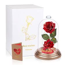 Selbst gebastelte verzauberte rose aus die schoene und. Mobel Von Shirylzee Gunstig Online Kaufen Bei Mobel Garten