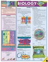 Laboratory Charts And Posters Biology