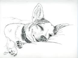 Check spelling or type a new query. Cute Rat Terrier Drawing Novocom Top