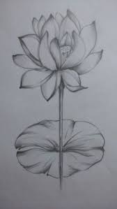 Karskalem In 2020 Flower Drawing Dark Art Drawings Art Painting