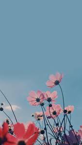 Don't forget to look through our diverse range of beautiful garden pictures that'll take your breath away. Beautiful Flowers Mobile Wallpaper Super Nice Kkcamille Imtopic