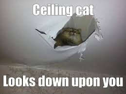 Maybe you would like to learn more about one of these? The Ceiling Cat Strikes Back Catmemes