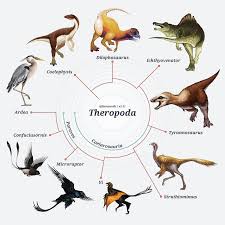 Hij leefde in het vroege krijt zo een 75 miljoen jaar geleden. Telur Dinosaurus Ternyata Berwarna Warni Seperti Burung Ini Kata Ahli