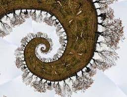 Image result for fractal