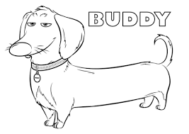 Buddy From The Secret Life Of Pets Coloring Page Dog Coloring Book Secret Life Of Pets Dog Coloring Page