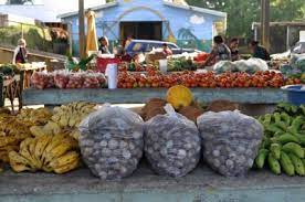The culture of its inhabitants has surely changed greatly over this long time period. Tongan Livelihood Living Off The Land For Handicrafts Crops Cultureliving Oceans Foundation