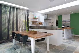 50s diner kitchen ideas & photos houzz