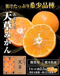 贈答用 天草 (あまくさ) 約2.5kg (約9玉前後～約12玉前後) 熊本県産 送料無料 みかん 取り寄せ 産地直送 果物 フルーツ ギフト 熨斗  のし お歳暮《3-7営業日以内に出荷予定(土日祝日（熊本,みかん,天草,贈答用,送料無料,希少品種,産地直送,紅まどんな,清見,興津早生,熊本 ...