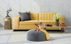 5 out of 5 stars. Pet Friendly Fabrics The Ultimate Fabric Guide Furl Blog